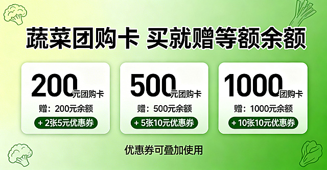 线上商城蔬菜礼品卡促销轮播banner，主视觉大标题"蔬菜团购卡 买就赠等额余额"，下方分三个清晰卡片展示档位福利：卡片1写"200元团购卡 赠：200元余额 + 2张5元优惠券"，卡片2写"500元团购卡 赠：500元余额 + 5张10元优惠券"，卡片3写"1000元团购卡 赠：1000元余额 + 10张10元优惠券"，最下方标注"优惠券可叠加使用"。背景用渐变绿色，点缀少量干净蔬菜剪影，整体排版工整简约，专业商务风，活动氛围浓厚，没有杂乱元素