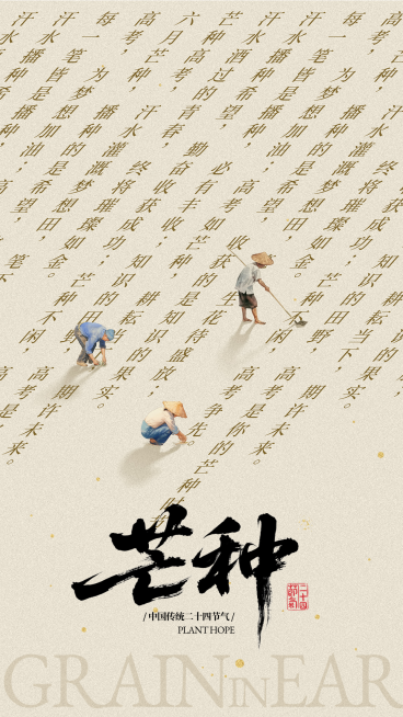 高考励志祝福芒种节气祝福创意励志感手机竖版海报预览效果