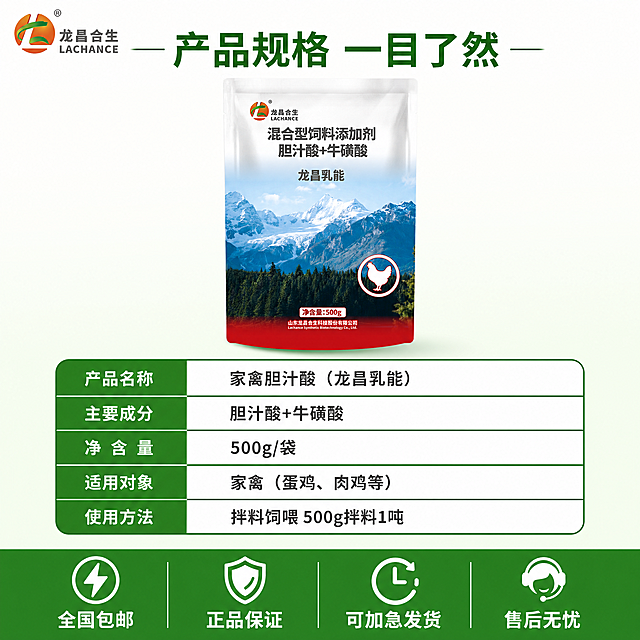 电商主图第五张，规格与服务承诺图，简约绿色系。画面上方居中展示产品包装袋正面全貌（龙昌合生 混合型饲料添加剂 胆汁酸+牛磺酸 龙昌乳能 净含量500g 山东龙昌合生科技股份有限公司），包装完整清晰。下方为规格参数区，用简洁的表格形式展示：产品名称“家禽胆汁酸（龙昌乳能）”，主要成分“胆汁酸+牛磺酸”，净含量“500g/袋”，适用对象“家禽（蛋鸡、肉鸡等）”，使用方法“拌料饲喂 500g拌料1吨”。底部绿色通栏，四个服务图标横向排列：闪电图标+“全国包邮”、盾牌图标+“正品保证”、时钟图标+“可加急发货”、客服图标+“售后无忧”。左上角龙昌合生品牌Logo。顶部主标题“产品规格 一目了然”。背景为白色到浅绿渐变，干净简约。整体风格与整套主图统一。文字清晰可读，信息层级分明。1:1正方形构图。