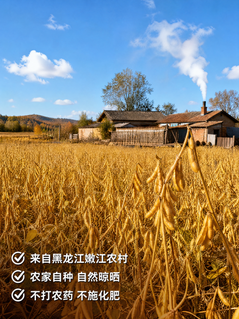 [主图-4] 东北农村黄豆产地实景图，原生态乡村气息。高清实拍，自然真实色彩。辽阔成熟黄豆田，背景是农家小院，烟囱炊烟袅袅，充满生活气息。明亮自然阳光，金黄田野搭配蓝天，层次丰富开阔。左下角勾选卖点：预览效果
