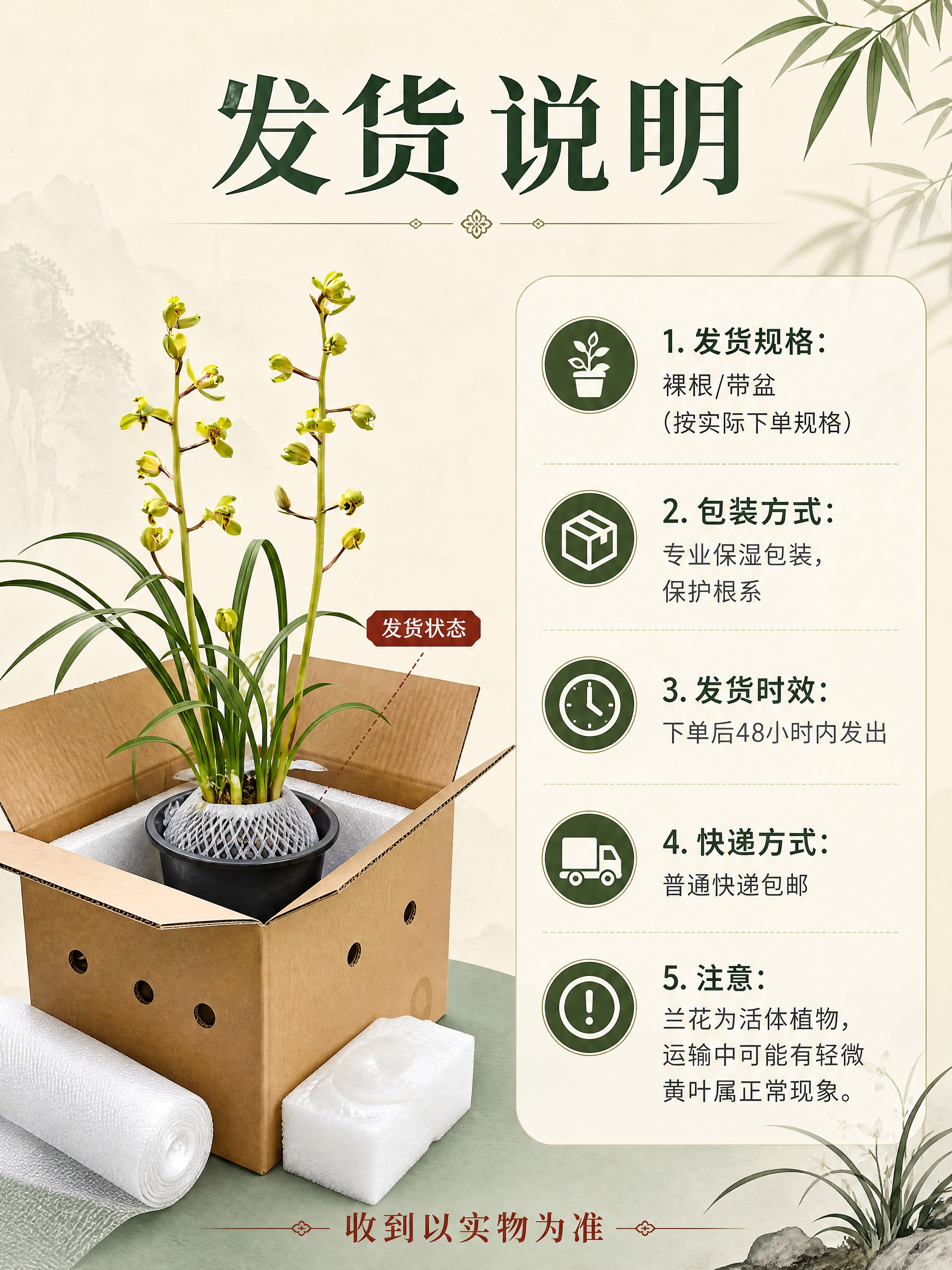 [商品] 使用【图2】兰苗实物图；保留兰苗和花盆的真实形态；展… - 图片创意预览