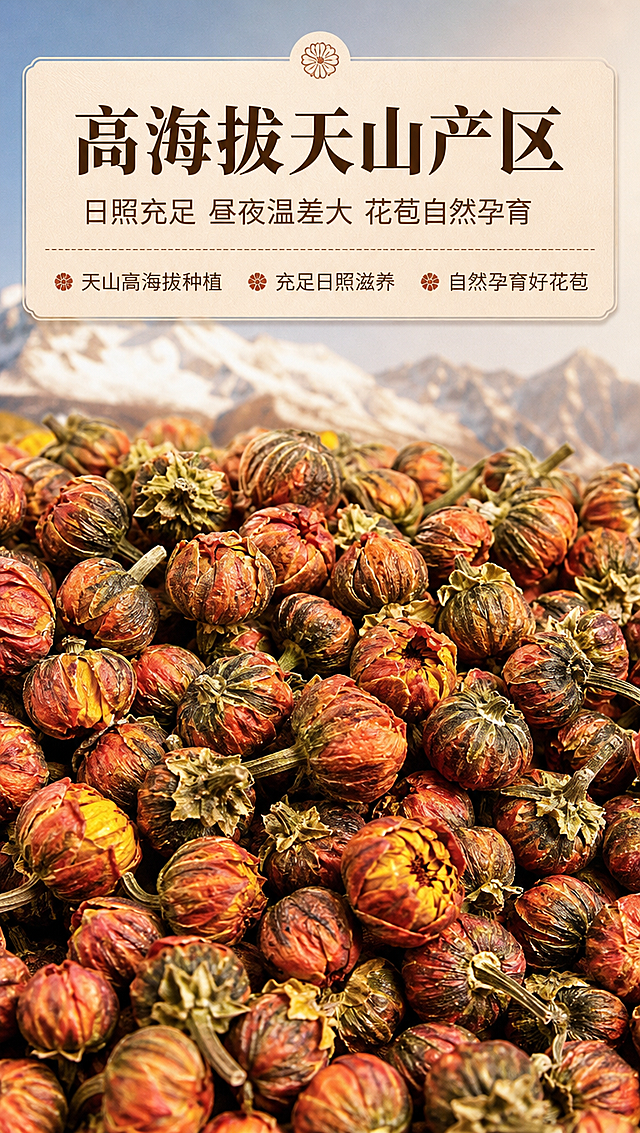 [商品] 使用【图2】天山胎菊干花原料实拍；保留胎菊花苞的红褐、橙红、黄绿相间的自然色泽、颗粒形态、花萼绿色、大小不一的真实状态；商品处理：保留干花自然原貌，仅增强颗粒纹理和色彩层次，不改变形态与比例。
[画面] 目标：成分产地专张，强化高海拔天山产区的原料地道性。构图：原料微距满铺型，胎菊干花占画面60%以上铺满中下部，上方30%为产地叙事文案区。主体：大量饱满天山胎菊花苞平铺展示，颗粒清晰可见。景别：俯拍微距特写。阅读动线：从上至下。前中后景：前景胎菊颗粒特写、中景更多胎菊延伸、后景虚化的高原雪山/蓝天意象（作为背景层，不抢主体）。场景：高海拔产地原料展示氛围。
[视觉] 套系策略：风格=自然养生高级商业摄影；标题字=宋体衬线粗体；正文字=简洁无衬线体；主色=暖棕金；背景延展=基于暖棕金做深浅层级、同色渐变和细腻纸张/木纹质感；强调色=深赭石，仅用于小面积图标、引线和标签；标题色=深棕褐；正文色=中暖灰；组件=圆角浅底信息卡、细线引线、小菊花图标；光影=左前侧暖柔光，柔和自然阴影。
[文字] 上方主标题「高海拔天山产区」，副标题「日照充足 昼夜温差大 花苞自然孕育」，下方分3行短句：「• 天山高海拔种植」「• 充足日照滋养」「• 自然孕育好花苞」。文案区置于画面上半部分浅底信息卡内，全部横排，不遮挡核心胎菊颗粒。原料元素占画面≥60%，产地信息大且清晰。
[规格] 图片比例9:16竖版，4K分辨率，medium质量。避免变形、错字、文字过小、冷蓝/蓝灰背景、胎菊颜色改变、虚假功效宣传、极限词。