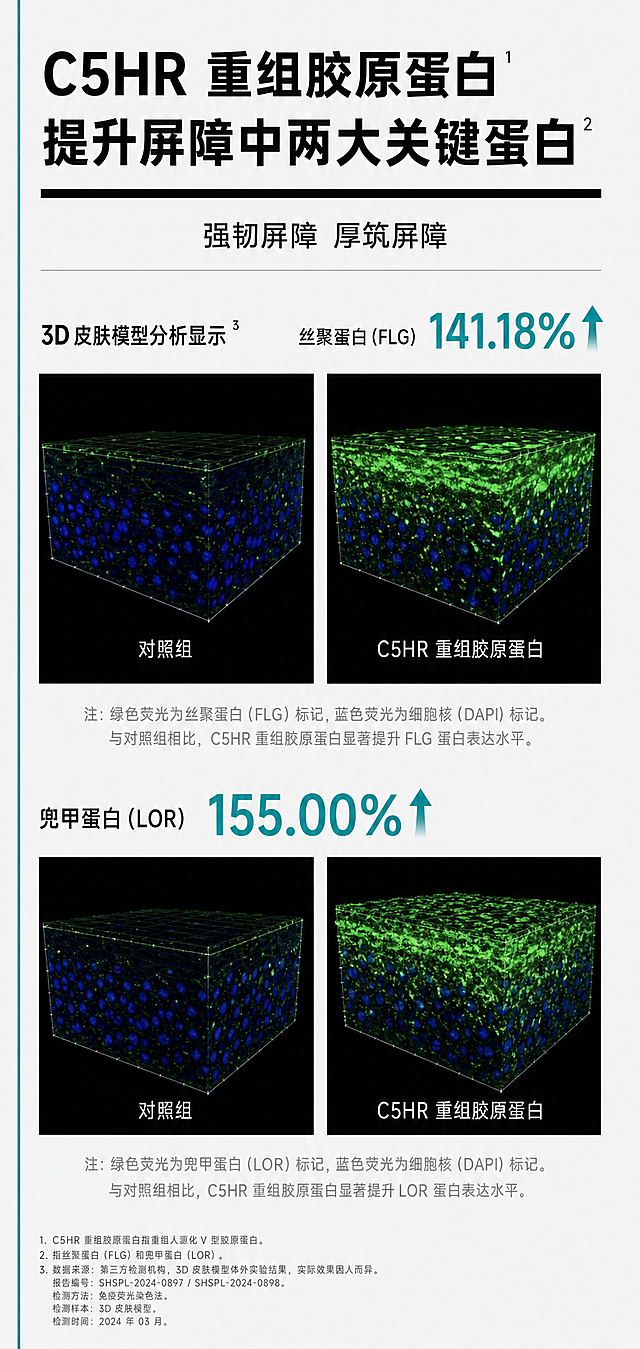 生成医美护肤成分功效实证详情页模块，2:3竖版，8K超高清分辨率，专业科研实验室报告风格。整体呈现严谨科学的医用护肤视觉调性，画面干净克制，信息层级清晰分明，学术专业感强烈，作为护肤品成分功效的科研背书模块，适配医美品牌详情页的实证展示场景。
背景为纯净浅灰白色，画面最左侧搭配一根细长青蓝色竖向装饰条作为视觉锚点；整体采用纵向流式排版，从上至下依次为标题区、核心结论小标题、第一组实验数据模块、第二组实验数据模块，模块间距均匀宽松，左右留白对称规整，完全契合学术报告的自上而下阅读逻辑。
顶部标题组左对齐排布，第一行是超大号加粗黑色无衬线主标题「C5HR 重组胶原蛋白」，标题右上角标注小号上角标数字；第二行是大号加粗黑色无衬线副标题「提升屏障中两大关键蛋白」，右上角同样标注对应小号上角标数字；标题组正下方搭配一条通长粗黑色水平横线，清晰分隔标题与下方内容，强化页面结构秩序感。横线下方居中放置二级小标题「强韧屏障 厚筑屏障」，黑色常规字重，下方搭配细灰色水平分隔线进一步划分内容区块。
第一组实验模块位于分隔线下方，左对齐排布二级标题「3D 皮肤模型分析显示」，右上角标注上角标编号；标题右侧紧邻放大的青蓝色加粗数据「141.18%」，搭配同色实心向上箭头图标，数据字号醒目突出，直观呈现指标提升幅度；数据左侧标注黑色说明文字「丝聚蛋白 (FLG)」，信息组合清晰易懂。数据下方横向并排摆放两张尺寸完全一致的荧光显微实验图，左右对称分布，均为黑色背景的 3D 皮肤细胞荧光成像图，蓝色圆点标记细胞核，绿色荧光标记目标蛋白；左图下方标注白色文字「对照组」，绿色荧光亮度低、分布稀疏；右图下方标注白色文字「C5HR 重组胶原蛋白」，绿色荧光亮度高、分布密集连贯，两组成像形成直观的效果对比；图片下方居中放置小号浅灰色注释说明文字，解释荧光标记的含义与实验结论，字体纤细克制，不干扰主体视觉权重。
第二组实验模块位于第一组下方，采用完全统一的版式结构，形成规整的阅读节奏；左对齐的指标名称「兜甲蛋白 (LOR)」右侧搭配青蓝色加粗数据「155.00%」与同色向上箭头；下方同样左右并排两张荧光显微对比图，左图标注对照组、绿色荧光微弱，右图标注实验组、绿色荧光显著增强；图片下方对应放置小号浅灰色注释文字，解释该组实验的标记物与实验结论，两组模块版式高度统一，视觉秩序感极强。
整体色彩以低饱和度浅灰白色为背景基底，主文字使用深黑色保障强可读性，核心数据、箭头与装饰元素统一使用品牌青蓝色作为强调色，实验成像图采用黑底 + 蓝绿荧光的真实科研影像色调；整体配色克制严谨，无多余鲜艳色彩，精准传递医用护肤成分的科学、专业与可信度。
设计风格为学术科研风数据可视化设计，医美专业实验报告质感，排版工整对称，信息层级通过字号、字重、色彩严格区分，数据对比直观清晰，画面无冗余装饰元素，以专业信息传递为核心，适配医美护肤品详情页的成分功效实证、科研技术背书的展示场景。
负向提示词：文字错乱，文字过小，图片变形，配色混乱，多余装饰，鲜艳色彩，水印，模糊，结构错位
