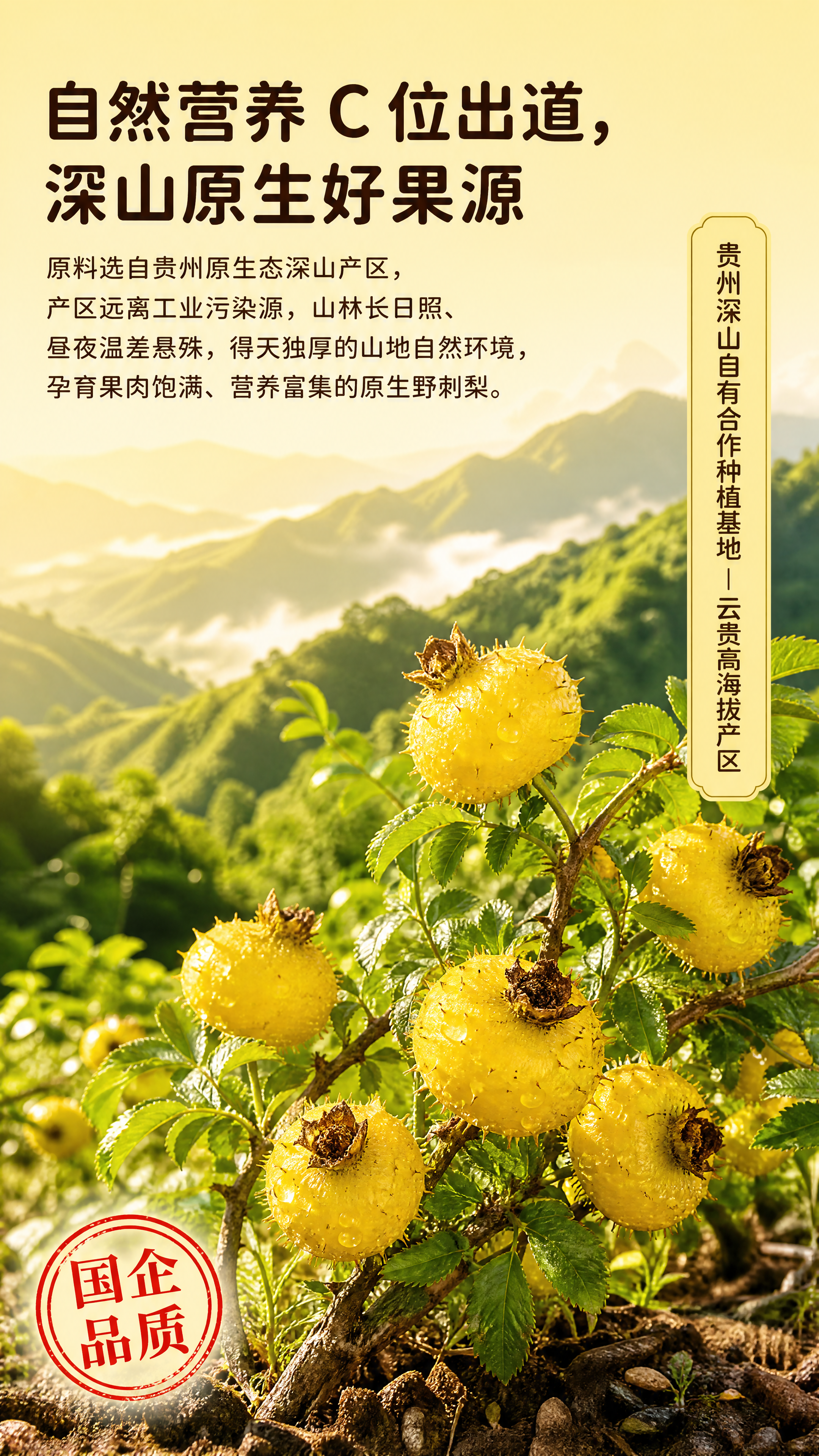 「图片1」，生成详情页，商品名称为NFC野刺梨汁，适配淘宝/天… - 图片创意预览