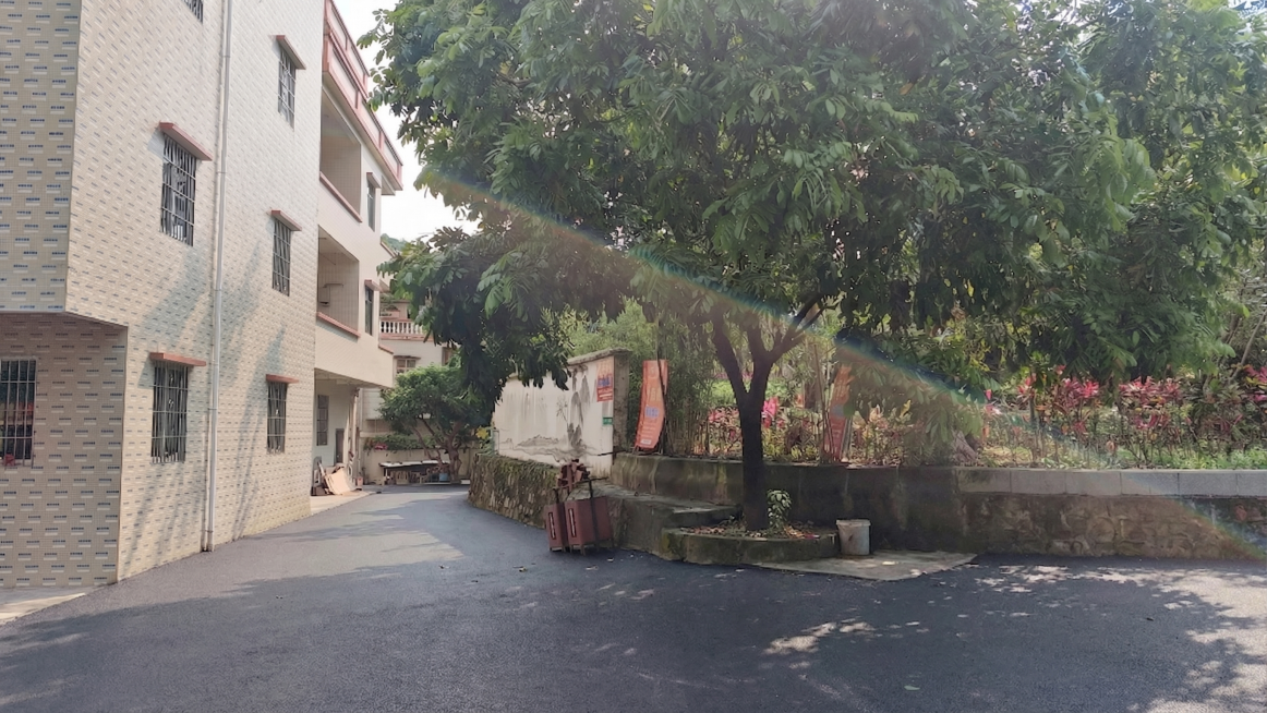 消除图片中的摩托车以及地面上的树枝，保持地面沥青和其他环境元素不变，自然真实地填补消除后的区域预览效果