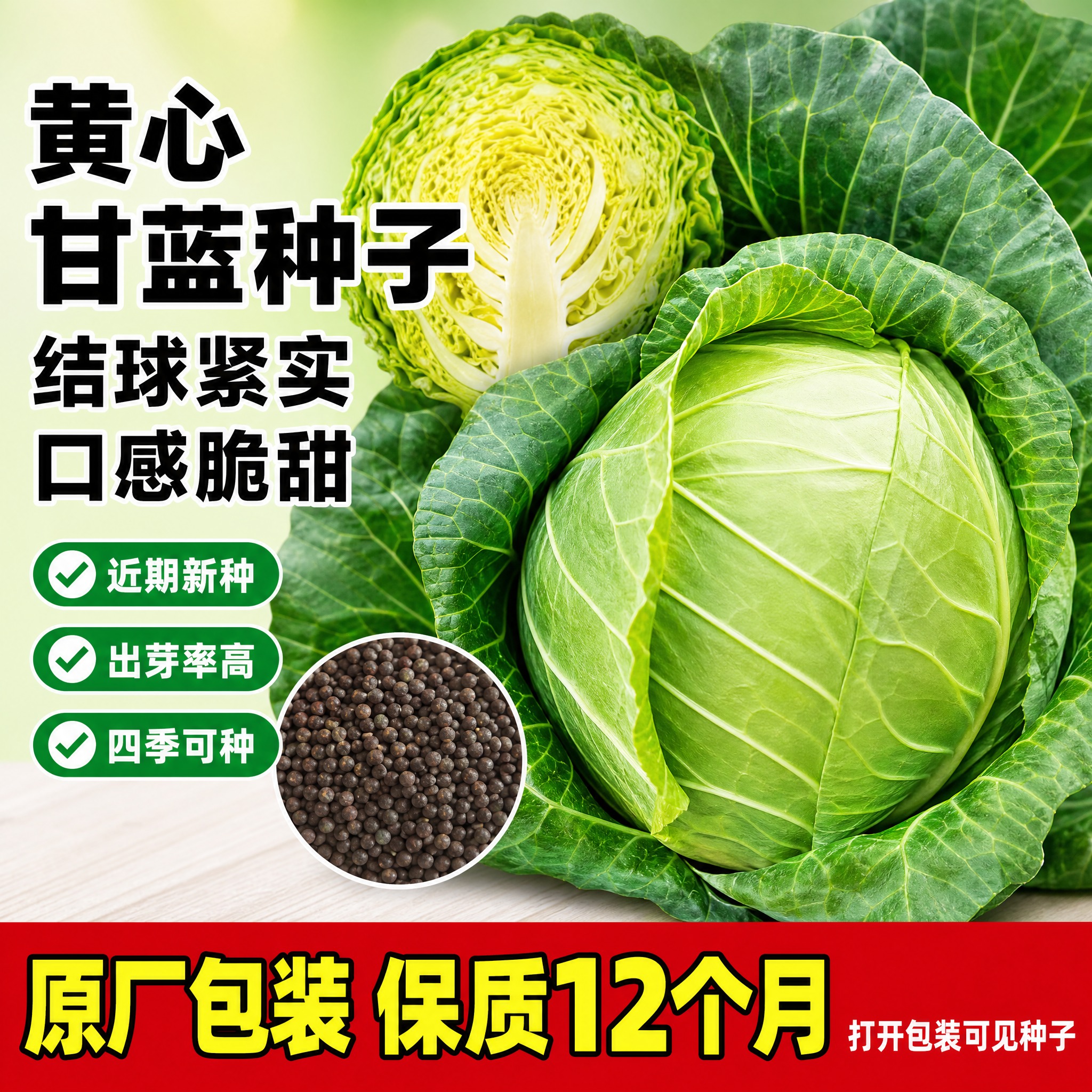 基于输入的甘蓝种子产品图，生成一张拼多多风格的爆款SKU主图，… - 图片创意预览