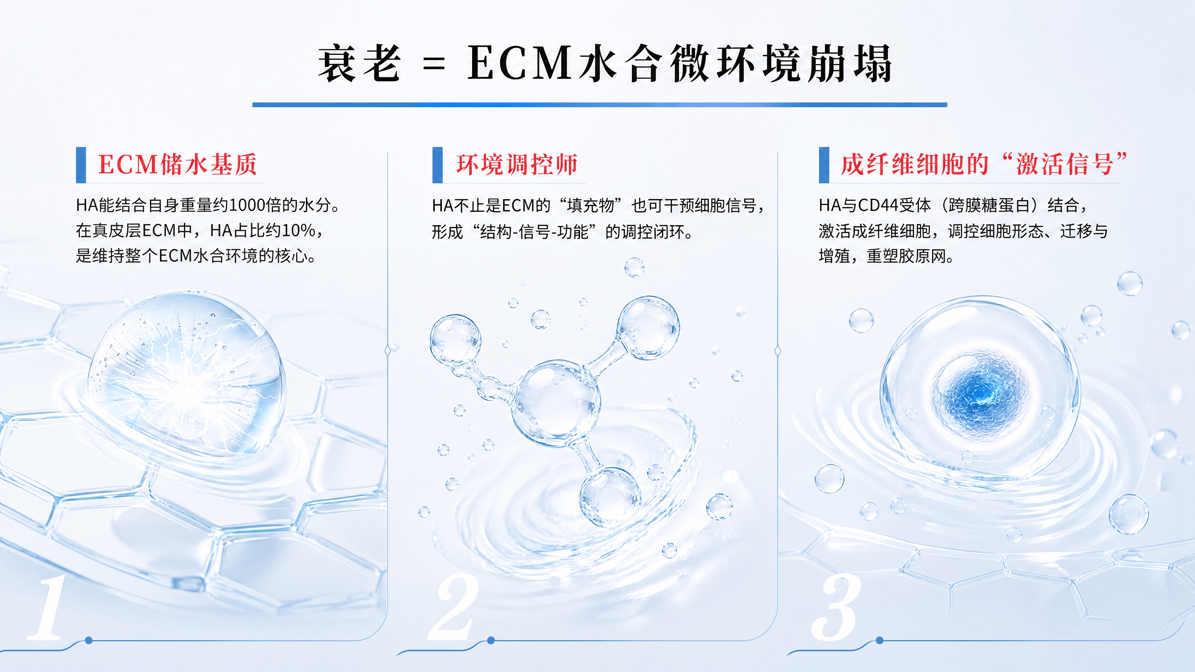 将这张竖版科学护肤信息图改版为横版16:9的卖点总结图，保留原… - 图片创意预览