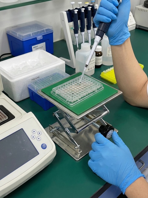 分子生物学实验台，升降台紧邻PCR仪，用于放置96孔板或八连管。升至与移液器最佳操作高度平齐，确保加样精准、快速，减少手臂悬空疲劳。动作瞬间抓拍。 比例3:4预览效果