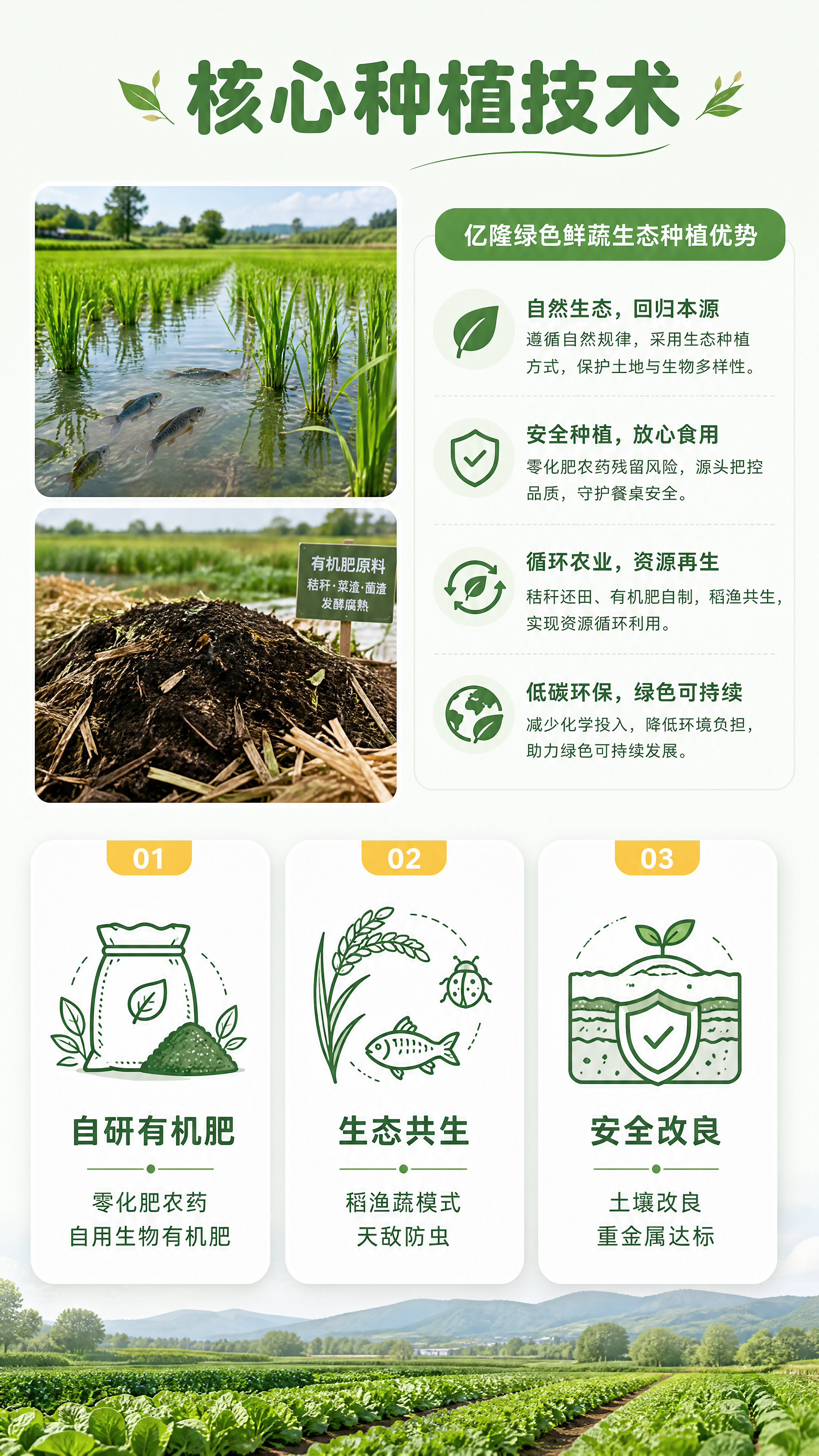 [第2屏] 核心种植模式展示屏-亿隆绿色鲜蔬生态种植技术说明。… - 图片创意预览
