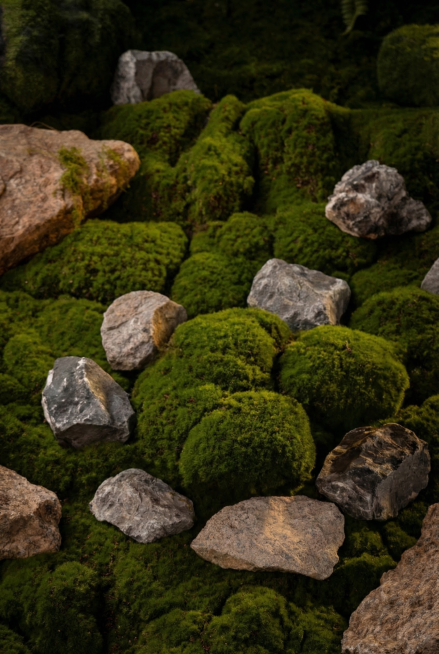 把口锅去掉，高清预览效果