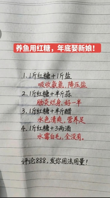 基于原图的横格笔记本背景，保留原图片字体手写风格和红黑配色，替换所有文字内容为：
标题：养鱼用红糖，年底娶新娘！
1、1斤红糖＋1斤盐，吸收氨氮，降压盐，
2、1斤红糖＋半斤蒜，肠炎烂身、好一半，预览效果