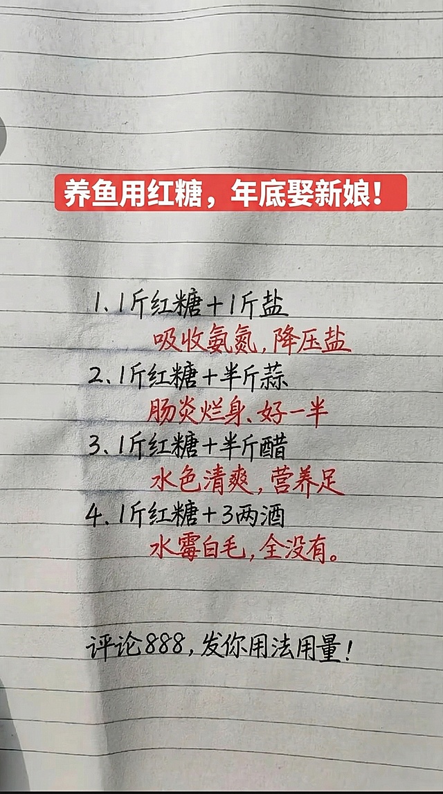 基于原图的横格笔记本背景，保留原图片字体手写风格和红黑配色，替换所有文字内容为：
标题：养鱼用红糖，年底娶新娘！
1、1斤红糖＋1斤盐，吸收氨氮，降压盐，
2、1斤红糖＋半斤蒜，肠炎烂身、好一半， 
3、1斤红糖+半斤醋，水色清爽，营养足，
4、1斤红糖+3两酒，水霉白毛，全没有。
评论888，发你用法用量！
要求一字不差，排版布局和原图保持一致，将所有配方中的关键词（吸收氨氮、降压盐、肠炎烂身、水色清爽、水霉白毛）标红