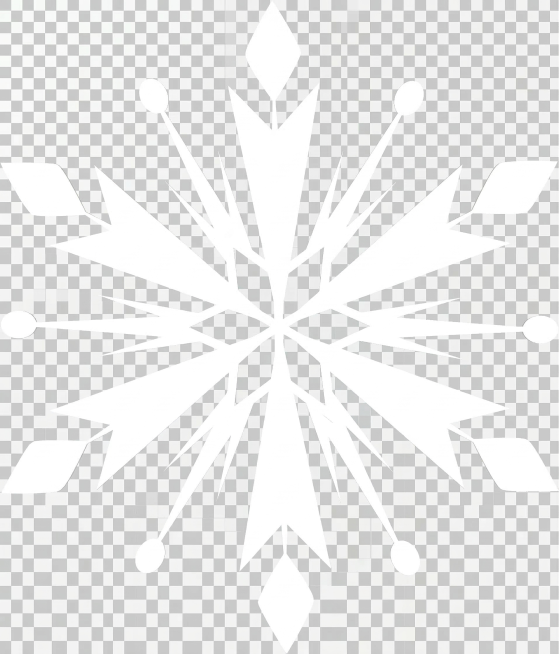 将雪花图案的浅蓝色部分修改为纯白色，保持原图形结构不变，背景为透明，只更改颜色预览效果