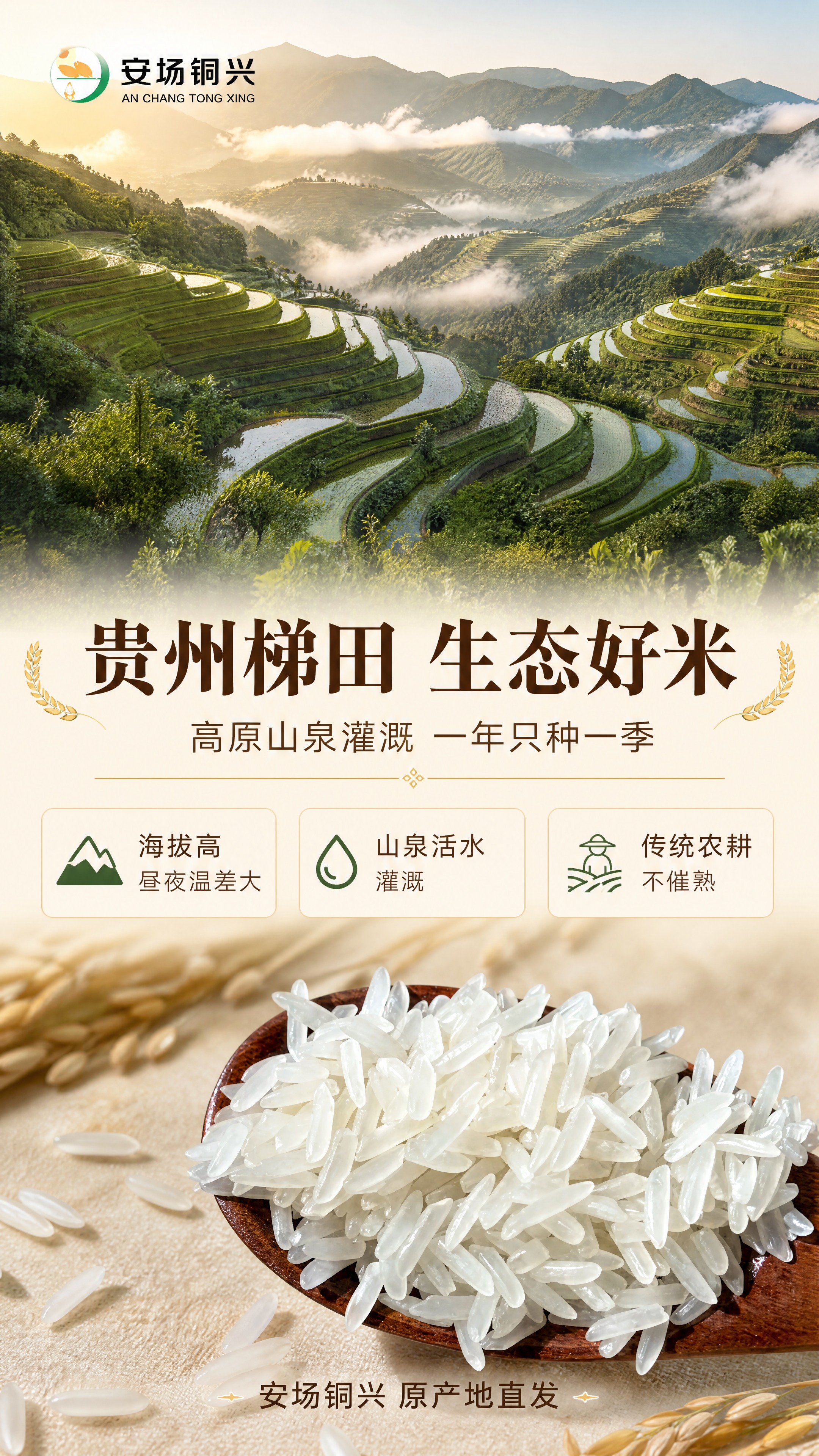 [商品] 使用【图1】安场铜兴贵州梯田长粒香大米；保留米粒形态… - 图片创意预览