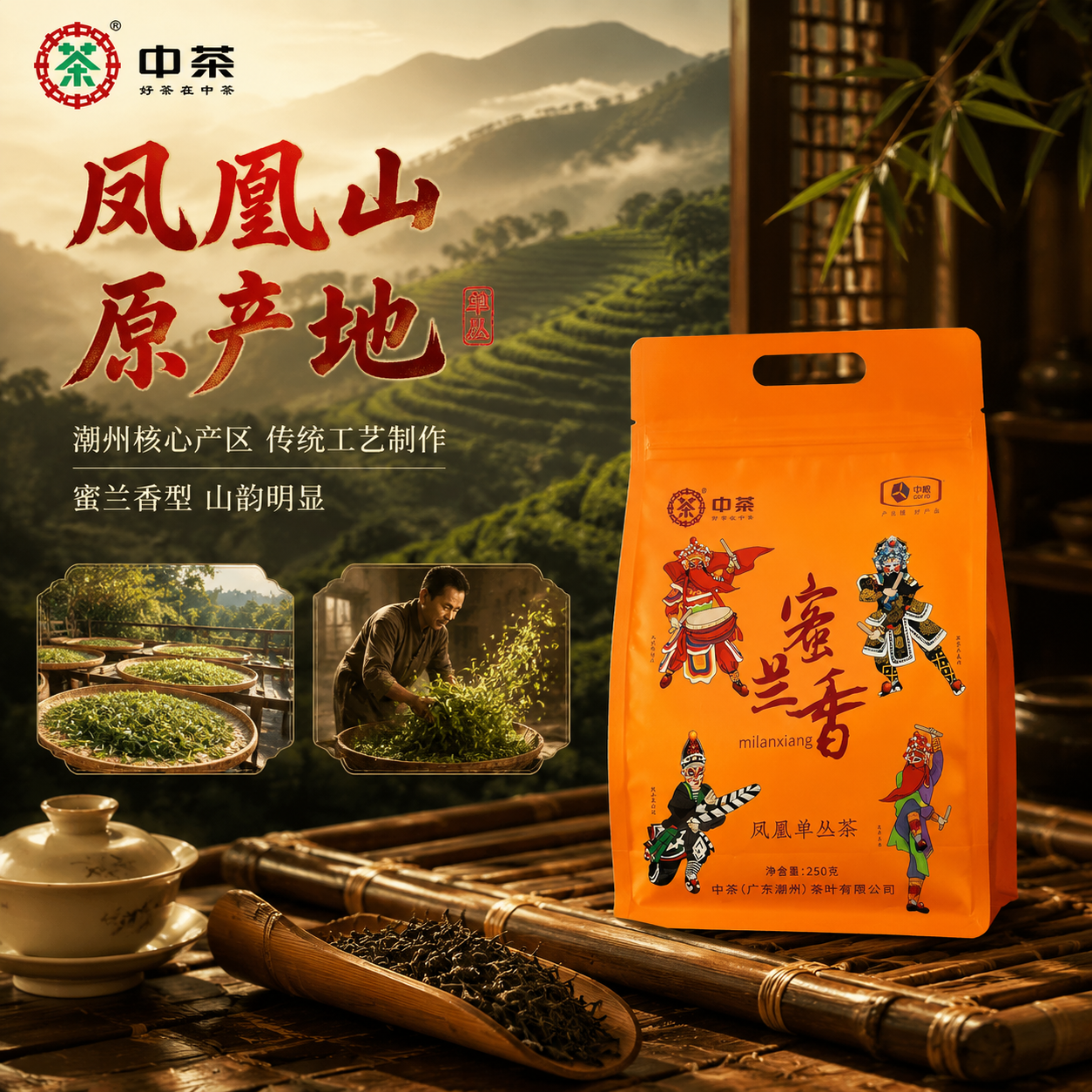 [主图-2 产地溯源] 主题：凤凰单丛 潮州凤凰山原产地溯源。… - 图片创意预览