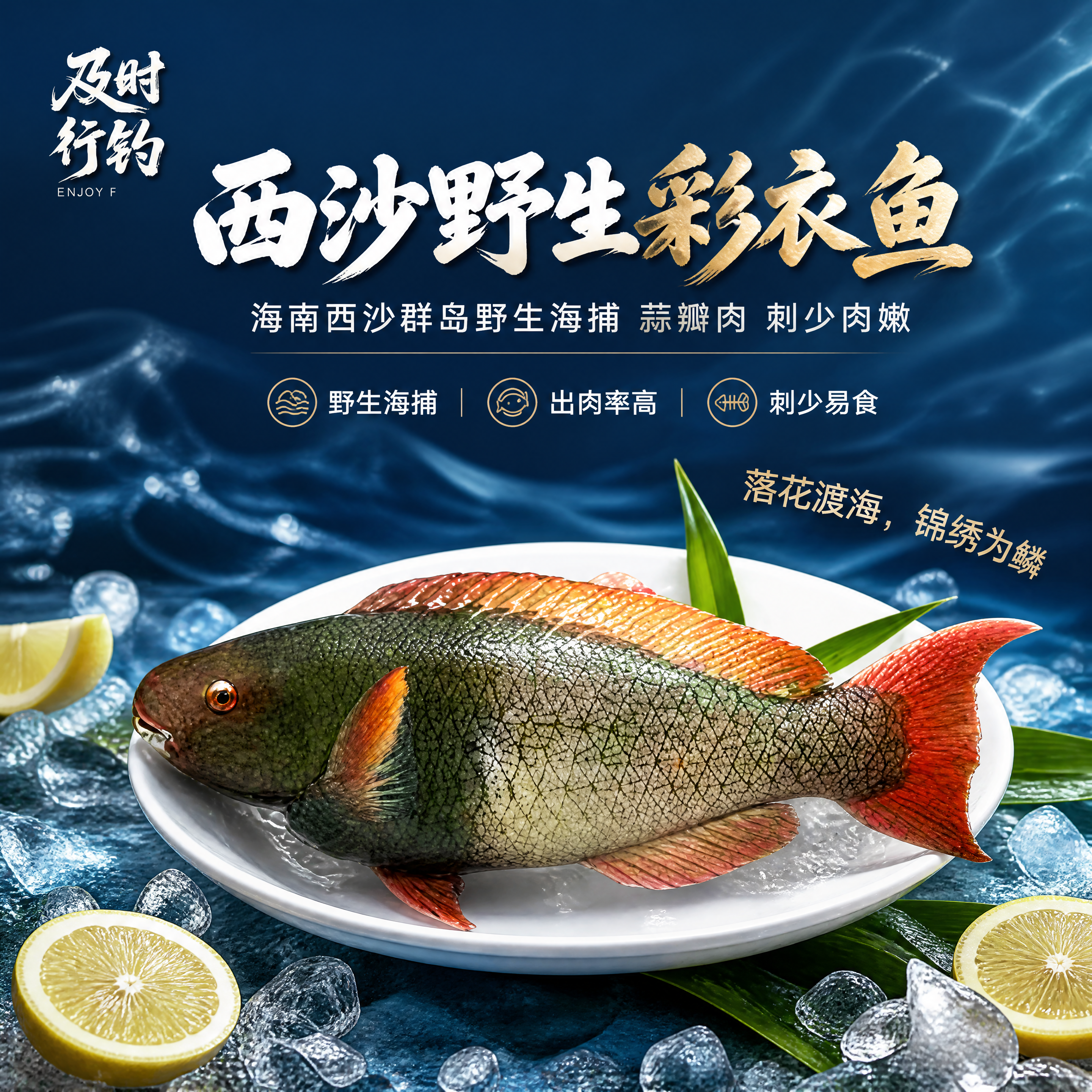 [商品] 使用【图1】彩衣鱼产品图；保留鱼身绿灰鳞片、橙红色鳍… - 图片创意预览