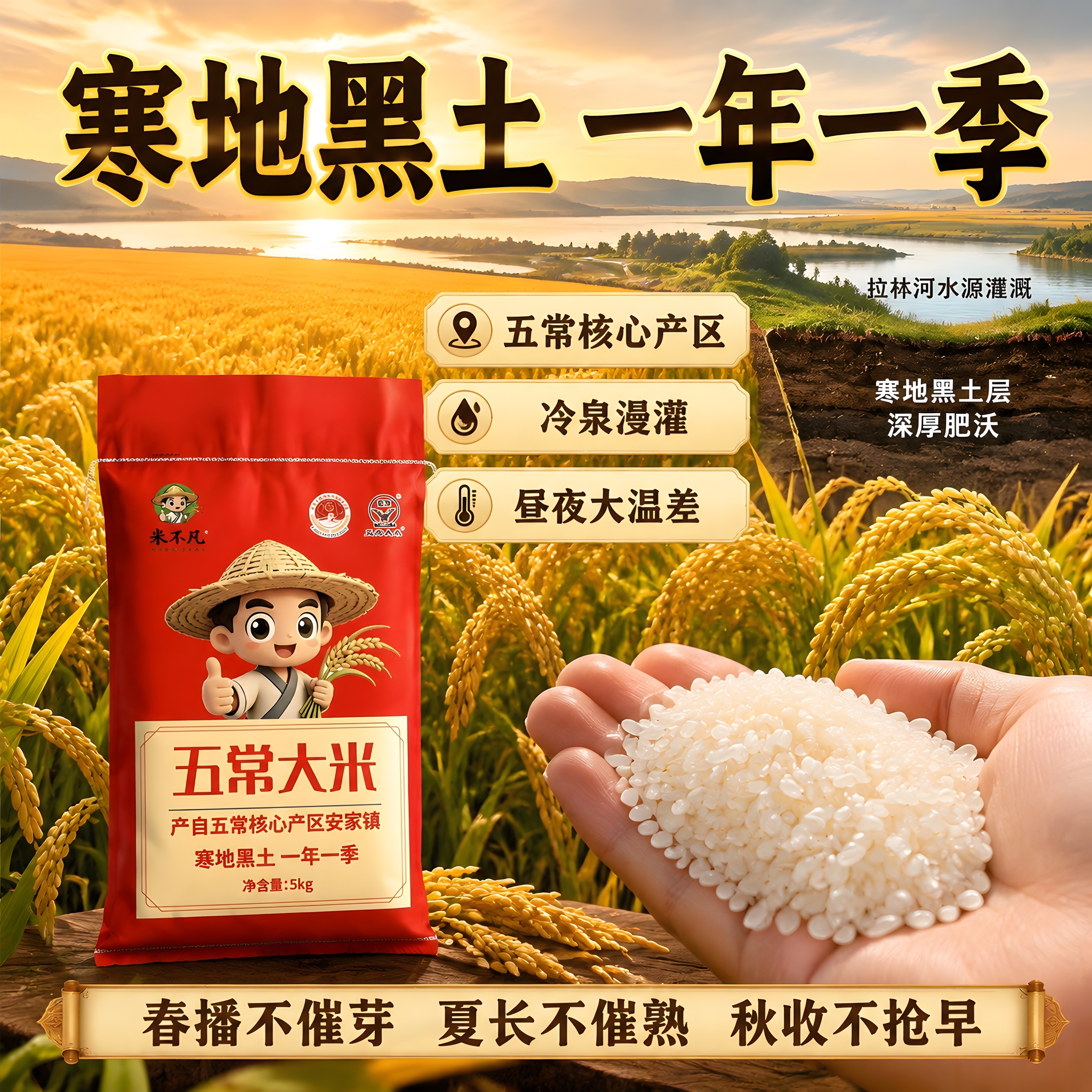 拼多多风格电商主图 产地溯源 寒地黑土 五常核心产区 一年一季… - 图片创意预览