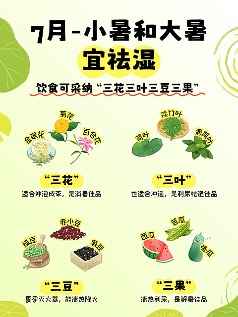 小暑大暑祛湿饮食养生知识科普分享卡通风小红书配图