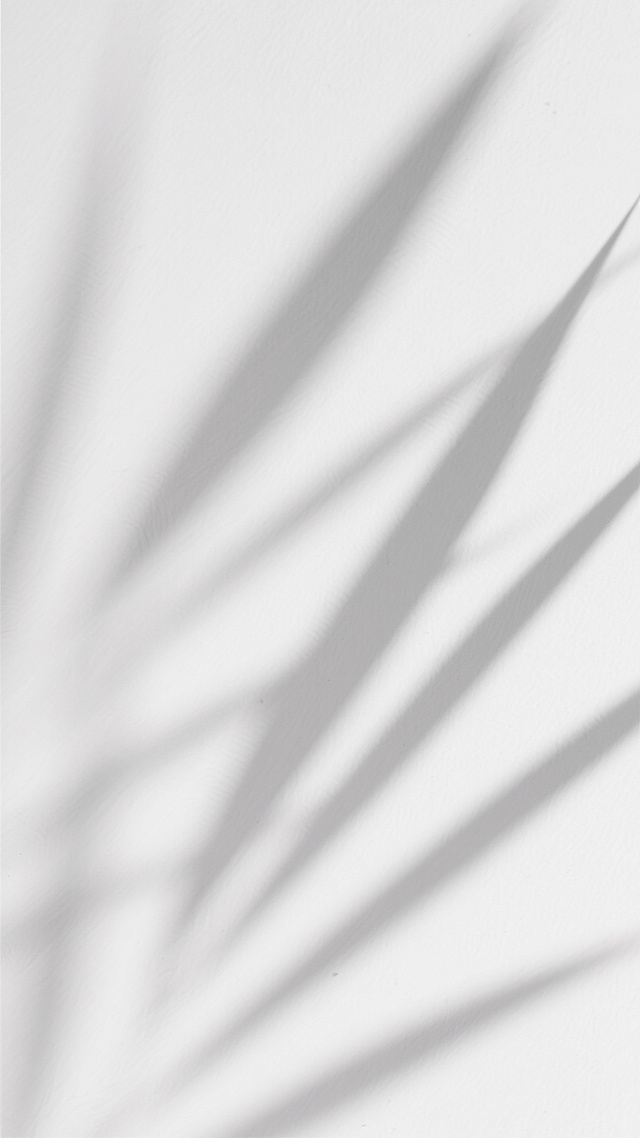 极简主义风格的抽象光影背景，以纯白色为基调，柔和的灰色植物叶片阴影以倾斜角度自然分布，形成疏密有致的线性纹理，光影过渡平滑自然，整体营造出宁静、简约、通透的氛围，具有现代设计感的留白美学，画面干净无杂物。
