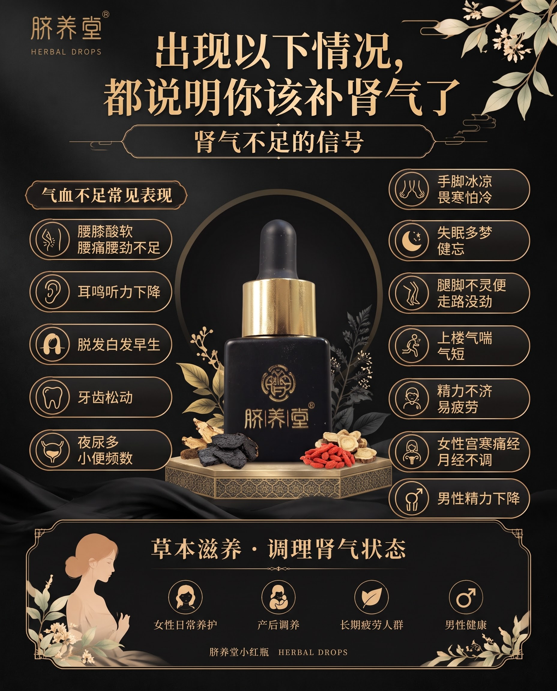 参考图1的版式构图风格，生成一张补肾气主题的养生产品海报，整体… - 图片创意预览