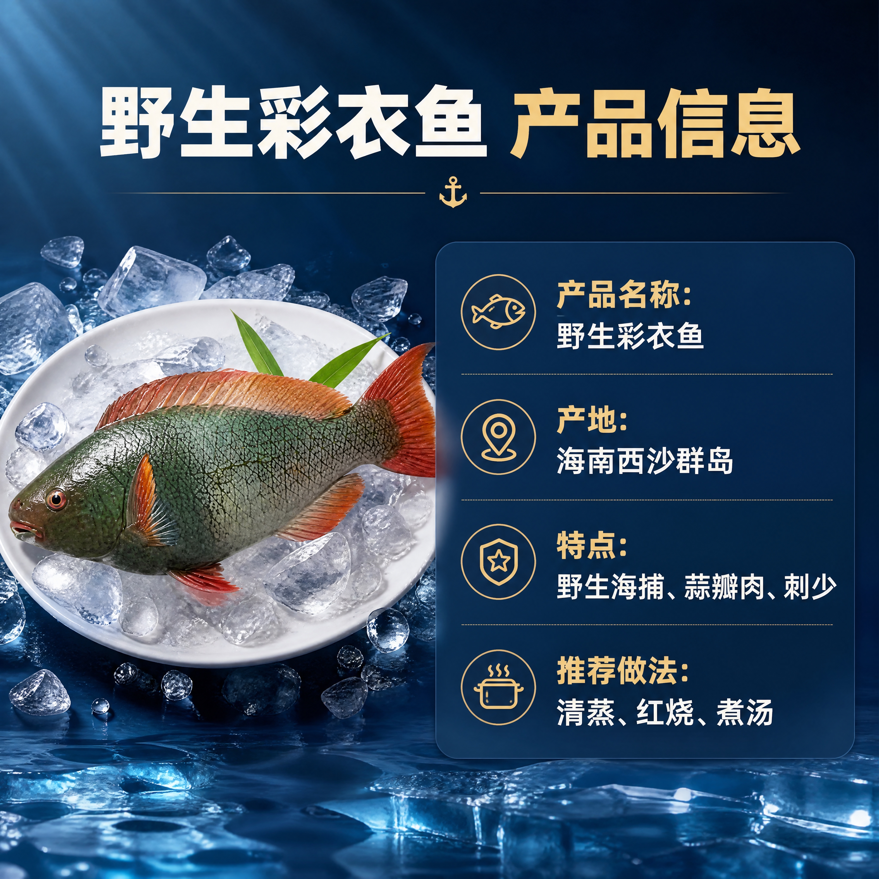 [商品] 使用【图1】彩衣鱼产品图；保留鱼身全貌、颜色与鳞片结… - 图片创意预览