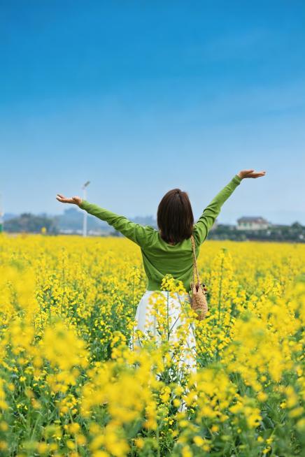 天调蓝一点预览效果