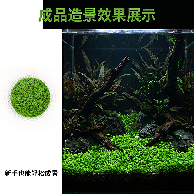 [主图 4] 迷你矮珍珠水草造景完成效果展示。[氛围风格] 真实自然水族造景，黑化幽深鱼缸氛围。[画质] 高清真实摄影，清澈透亮。[元素] 左侧放原盒产品图，右侧展示鱼缸铺设完成后迷你矮珍珠形成的翠绿草坪，完整造景效果。保持原产品外观不变，造景效果自然真实，符合黑化丛林主题，背景深暗。左右构图，产品+效果展示。[光影] 鱼缸内光线均匀明亮，突出翠绿草坪，背景偏暗营造氛围，对比清晰。[配色] 翠绿水草，深色鱼缸，自然水族色彩。[文字版式] 顶部标题：「成品造景效果展示」绿色粗体。左下角标注：「新手也能轻松成景」白色文字。[比例分辨率] 1:1，2k分辨率。[负向提示词] 变形，模糊，造景杂乱，色彩失真