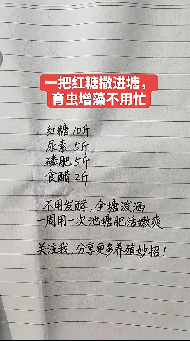 参照原图字体和颜色排版布局，替换内容为：一把红糖撒进塘，育虫增藻不用忙 红糖 10斤 尿素 5斤 磷肥 5斤 食醋 2斤 不用发酵，全塘泼洒 一周用一次池塘肥活嫩爽 关注我，分享更多养殖妙招！一字不差替换内容，保持背景是横格笔记本，顶部保留红色块白色标题字体风格