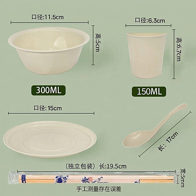 将图片中独立包装的筷子尺寸文字修改为：长19.5cm，宽5mm，保持图片原有构图、餐具样式和其他文字标注不变，高清画质