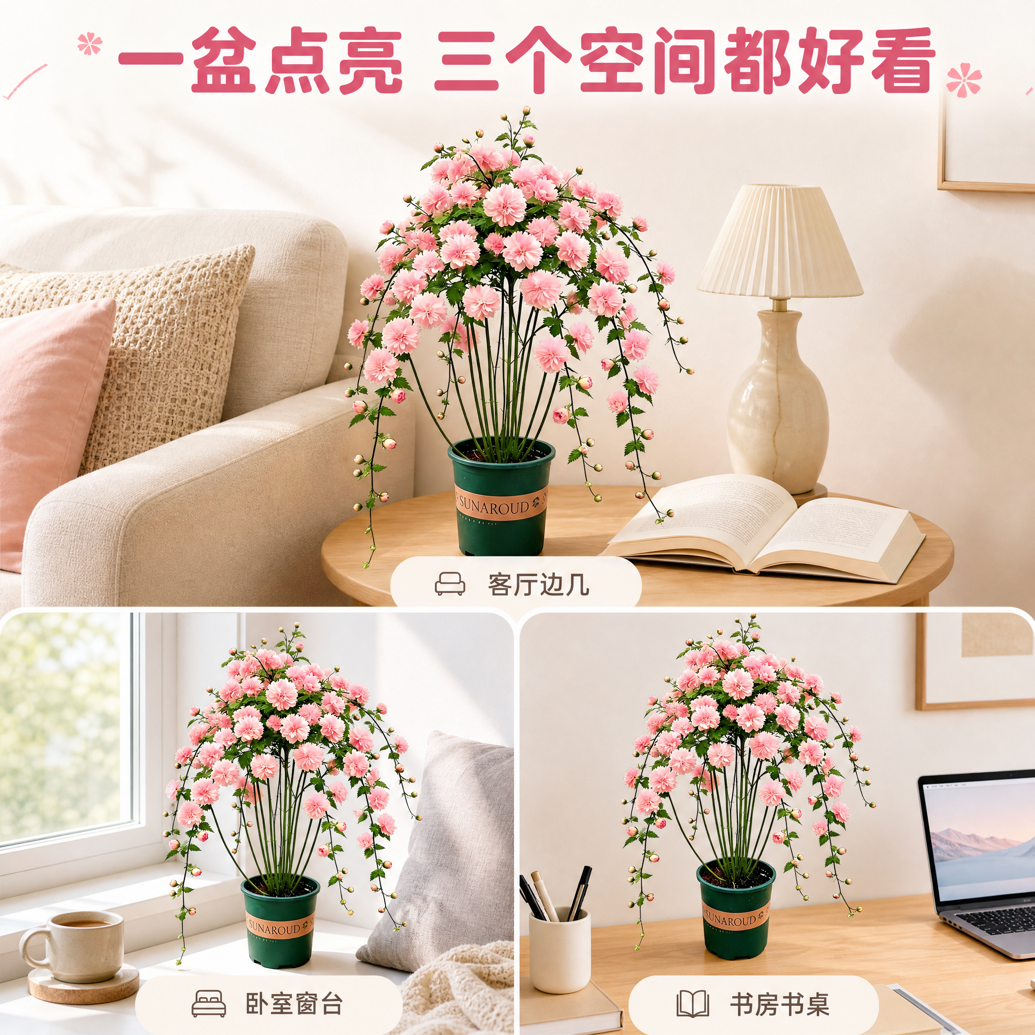 [主图-3] 主题：重瓣垂吊木槿 多场景搭配图 适配不同家居风… - 图片创意预览