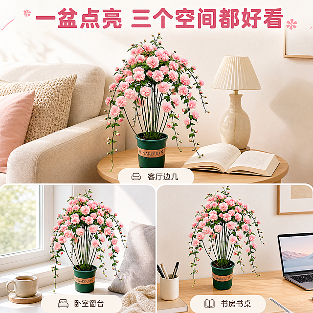 [主图-3] 主题：重瓣垂吊木槿 多场景搭配图 适配不同家居风格。唯一任务：展示盆栽放在客厅、卧室、书房三个不同空间的效果，让用户直观感受到它百搭好看，自己家也能放。
[统一基调] 温馨治愈居家风 清新自然 抖音强视觉吸睛；背景主色为奶白+浅木色+柔粉点缀；标题字色为深豆沙粉，辅助字色为暖棕灰，强调色为樱花粉；字体为圆润无衬线粗体，标题大号加粗，辅助字缩小50%以上；卡片用轻圆角半透明白底，图标为简约线性小图标。
[画面] 采用三格分屏但整体仍在同一视觉体系中，三个场景都用奶白+浅木色基底，保持光源方向一致（左侧柔光）。上半部分大格为主场景：客厅边几摆放图——盆栽放在米白色沙发旁的浅木色边几上，旁边有一盏米色台灯和一本打开的书，背景是奶白墙面，温馨治愈。左下小格：卧室窗台摆放图——盆栽放在白色飘窗台上，旁边有浅灰色抱枕和一杯咖啡，阳光从窗外照入，慵懒舒适。右下小格：书桌摆放图——盆栽放在浅木色书桌上一角，旁边有笔记本电脑和笔筒，清新提神。三个场景中的盆栽都保持与输入图一致的外观、花量和盆型，每个小格下方标注场景名称：“客厅边几”“卧室窗台”“书房书桌”。
[光影质感] 统一左侧午后自然柔光，每个场景都有柔和接触阴影，产品自然融入环境，高清商业摄影质感，色彩清新统一。
[配色] 主色奶白+浅木色+柔粉+深绿；标题深豆沙粉，辅助文字暖棕灰；三格场景色调统一，不出现突兀颜色。
[文字版式] 画面顶部居中主标题“一盆点亮 三个空间都好看”，深豆沙粉粗体大字。每个小格下方用小号暖棕灰字标注场景名。文字都放在空白区域，不遮挡盆栽主体。
[输出要求] 1:1正方形 2K高清 文字清晰可读 产品外观与输入图一致 三个场景中盆栽花型花色盆型均不变 无变形 无错字 无模糊 无水印 无平台Logo 无杂乱元素。