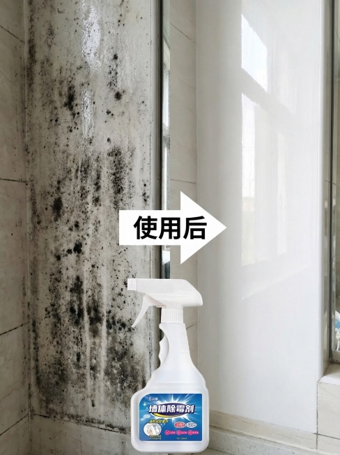 圣洁康墙体除霉剂详情页效果对比图，写实风格，明亮自然光。画面左右分栏，左侧是发霉的黑色墙面，右侧是使用除霉剂后的干净洁白墙面，中间配箭头标注“使用后”，产品放在画面底部居中，背景是真实墙面场景，整体背预览效果