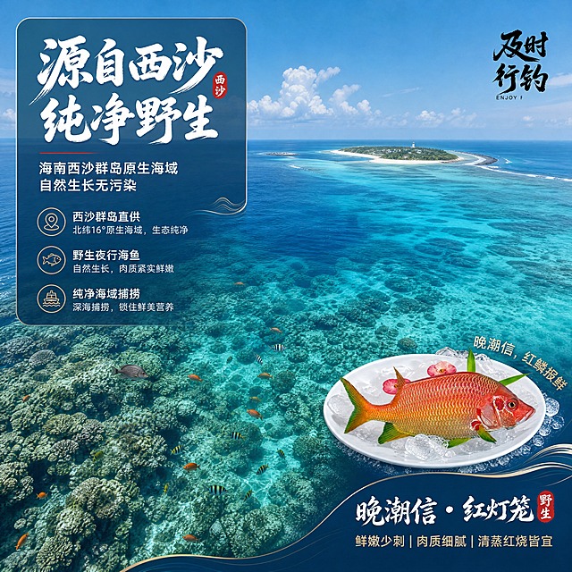 [商品] 使用【图1】晚潮信·红灯笼鱼小图置于右下角作产品露出；保留鱼身赤红鳞片外观与品牌标识；本页以产地场景为主，产品占画面约15%作辅助展示。
[画面] 目标为海南西沙群岛产地专张，产地叙事型版式；主视觉为西沙群岛纯净蔚蓝海域航拍视角，清澈海水、珊瑚礁、热带鱼群构成大场景，占画面约70%，营造野生无污染海域氛围；右下角放置红灯笼鱼产品小图与冰盘；画面层次：远景海岛轮廓、中景广阔海面、近景清澈海水珊瑚。
[视觉] 套系策略：风格=高端生鲜海洋风商业摄影；标题字=苍劲书法黑体+现代无衬线粗体组合；正文字=简洁无衬线体；主色=深海青蓝；背景延展=基于深海青蓝做深浅渐变、海水纹理与光斑质感；强调色=赤焰金红，仅用于小面积标签、引线和重点高亮；标题色=纯白+金红点缀；正文色=浅海蓝灰；组件=圆角半透明信息卡、细金线引线、海浪形装饰条；光影=自然海域日光，通透清亮。
[文字] 左上主标题「源自西沙 纯净野生」，副标题「海南西沙群岛原生海域 自然生长无污染」，下方3个产地卖点：西沙群岛直供、野生夜行海鱼、纯净海域捕捞；文字区居左上，半透明深蓝底卡承载，不遮挡海域主画面。
[规格] 图片比例1:1正方形，4K分辨率，负向提示：避免变形、错字、文字过小、模糊、鱼身失真、工业污染场景、虚假宣传用语。