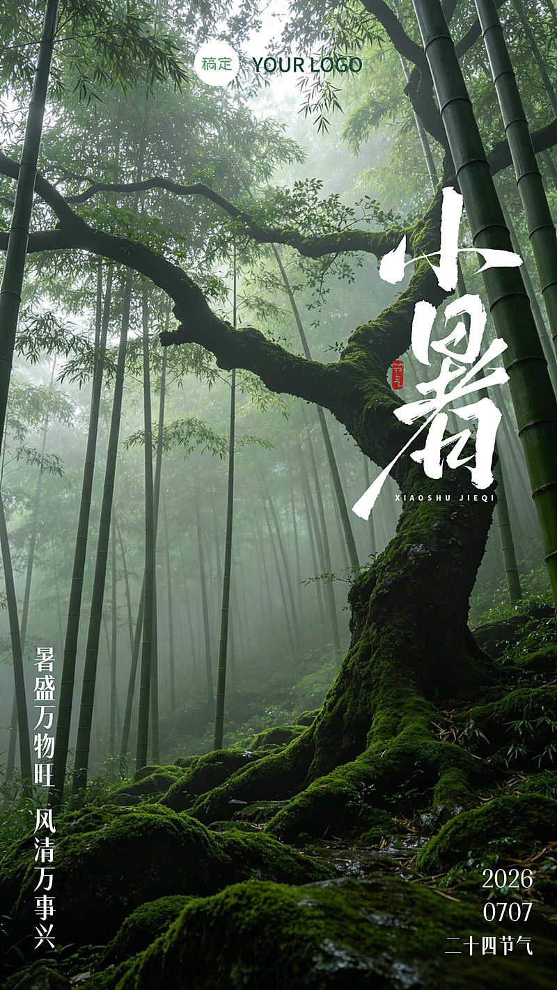 夏季小暑 节气海报