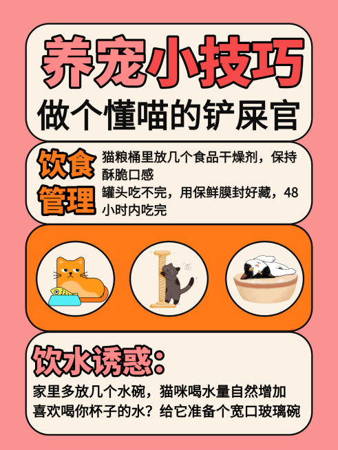宠物攻略小红书封面预览效果