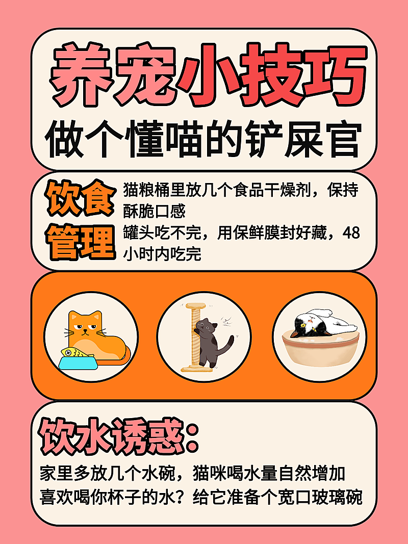 宠物攻略小红书封面