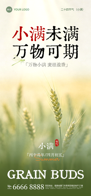 绿色小满清新感节气祝福通用全屏竖版海报预览效果