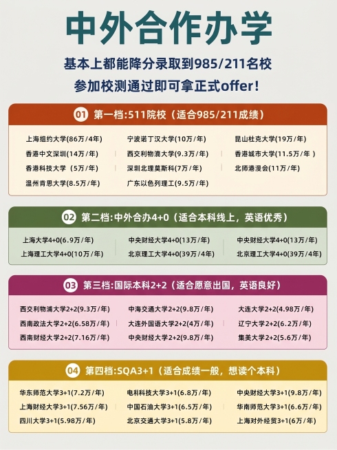 重新修改这张中外合作办学信息图，大幅更换整体配色方案，完全改变分区颜色设计，保留全部文字内容不变，保持简约干净的风格，与原图差异更大预览效果