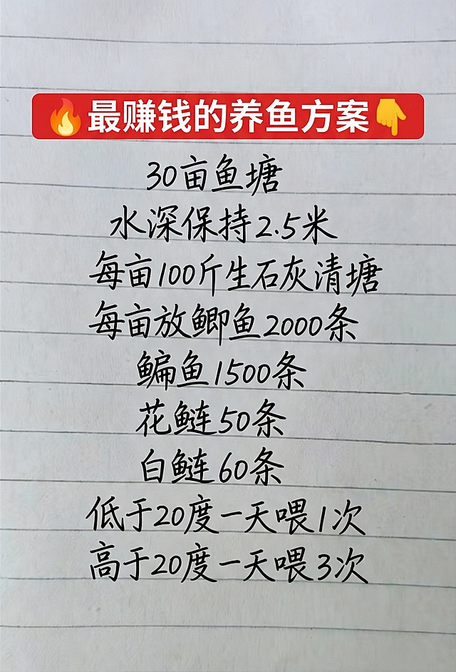 「图片1」🔥最赚钱的养鱼方案👇30亩鱼塘  水深保持2.5米  每亩100斤生石灰清塘  每亩放鲫鱼2000条  鳊鱼1500条  花鲢50条  白鲢60条  低于20度一天喂1次  高于20度一天喂3次参照图片字体和颜色，用上面内容替换生成新的内容，要求排版布局合理，一字不差。