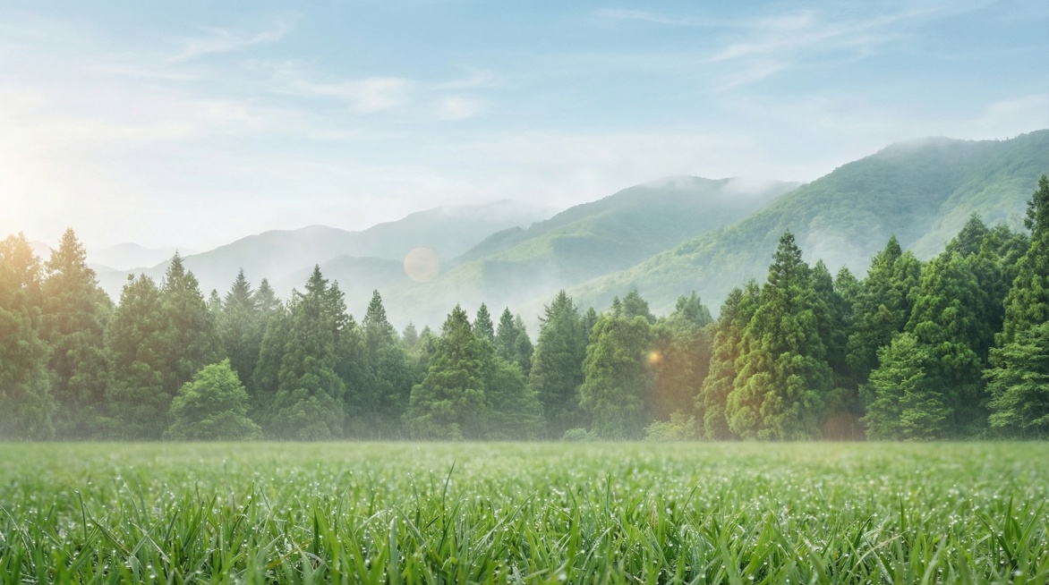 16:9 横幅比例，户外自然风光背景，无模特无角色，8K分辨率，超写实摄影风格，远景是连绵起伏的青翠山脉和茂密的针叶树林，山峰轮廓柔和，山顶有薄雾缭绕，针叶树林层次分明，树冠浓绿；近景是广阔的绿色草坪预览效果