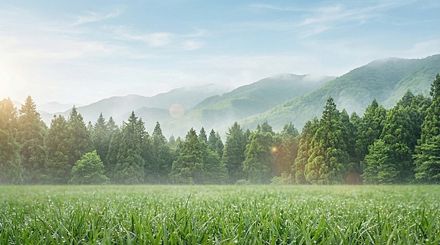 16:9 横幅比例，户外自然风光背景，无模特无角色，8K分辨率，超写实摄影风格，远景是连绵起伏的青翠山脉和茂密的针叶树林，山峰轮廓柔和，山顶有薄雾缭绕，针叶树林层次分明，树冠浓绿；近景是广阔的绿色草坪，草地平整柔软，草叶细节清晰，带有微小水珠，表现雨后湿润感。天空为淡蓝色，天空的画幅占比40%，云朵轻盈飘逸，光影过渡自然。整体色调清新明亮，以绿色、蓝色、浅灰为主，点缀少量暖色光晕。画面质感细腻写实，草地与树叶纹理逼真，空气中有轻微水汽感，营造出雨后初晴的清新氛围。构图采用三分法，山脉位于上三分之一，树林居中，草地占据前景，视觉引导自然舒展。风格为高清摄影级自然风景，适合儿童服装广告拍摄使用，背景干净无杂乱元素，空气透视效果，远山略带朦胧感，无人类痕迹，保持自然原始感。
