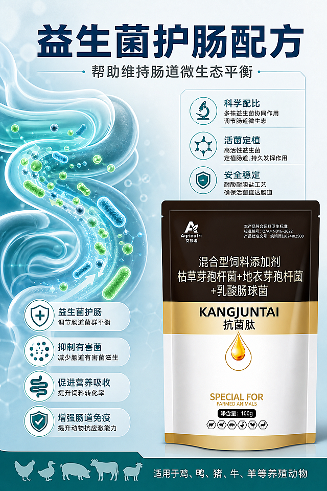 电商主图，核心卖点护肠益生菌，科技感科普风，肠道健康可视化。画面左侧为肠道与益生菌粒子流动示意图，右侧为产品包装与文字说明。主标题“益生菌护肠配方”，副标题“帮助维持肠道微生态平衡”，底部小字“适用于鸡、鸭、猪、牛、羊等养殖动物”。蓝绿色科技辅助色，专业可信，2:3竖版构图。
