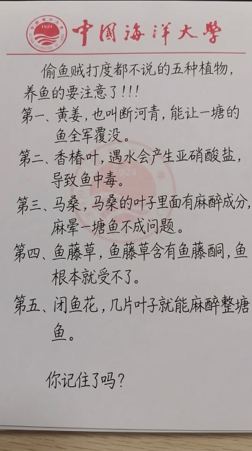 手写便签纸，内容为：偷鱼贼打亖都不说的五种植物，养鱼的要注意了！！！第一、黄姜，也叫断河青，能让一塘的鱼全军覆没。第二、香椿叶，遇水会产生亚硝酸盐，导致鱼中毒。 第三、马桑，马桑的叶子里面有麻醉成分，预览效果