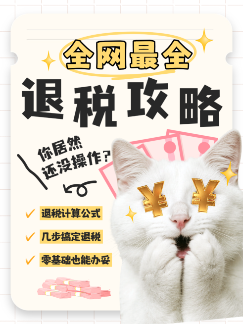 大字吸睛退税知识分享小红书封面预览效果