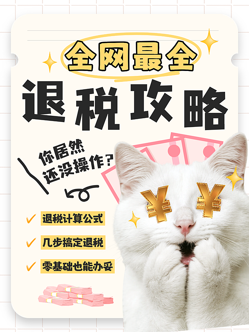 大字吸睛退税知识分享小红书封面