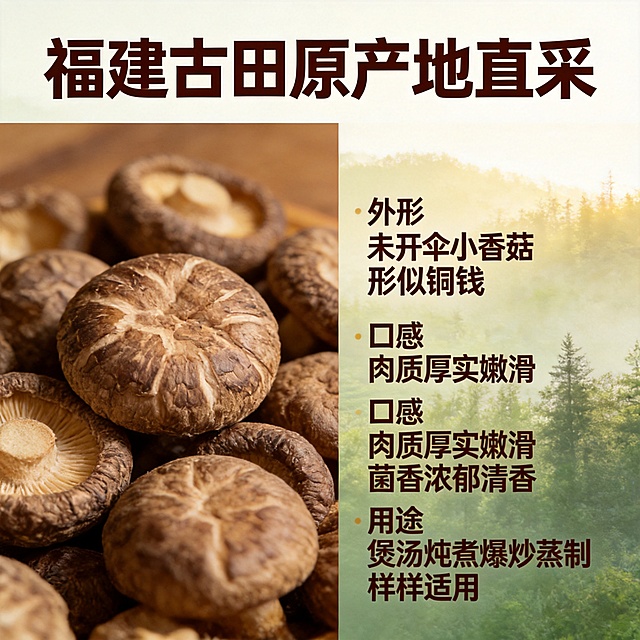 [主图-2] 绿帝金钱菇核心卖点展示主图。
[氛围风格] 真实食欲感，清晰展现产品优势，自然通透的电商风格
[画质] 商业摄影质感、光线柔和通透、产品清晰真实、画面干净高级
[元素] 画面左侧用大特写展示干金钱菇微距纹理，菇身小巧紧实，表面纹理清晰；右侧用分块展示核心信息，背景保留淡淡的福建古田山林风景做衬托。保持包装袋品牌风格与原图一致，商品主体占比约75%，画面满屏无边框。
[光影] 自然暖阳逆光，突出干香菇的质感和色泽，纹理清晰通透
[配色] 主色调为原木棕+山林浅绿，暖调自然，文字对比清晰
[视角构图] 特写平视，左图右文布局，层次分明
[文字版式] 顶部主标题【福建古田原产地直采】深棕色粗体大字，下方分点展示卖点：
1. 【外形 未开伞小香菇 形似铜钱】
2. 【口感 肉质厚实嫩滑 菌香浓郁清香】
3. 【用途 煲汤炖煮爆炒蒸制 样样适用】
文字左对齐，重点关键词放大加粗，清晰易读。
[比例分辨率] 1:1比例，2048x2048像素，2k分辨率，文字清晰可读
[负向提示词] 变形，水印，文字错乱，产品图模糊，背景杂乱，绝对化违禁词