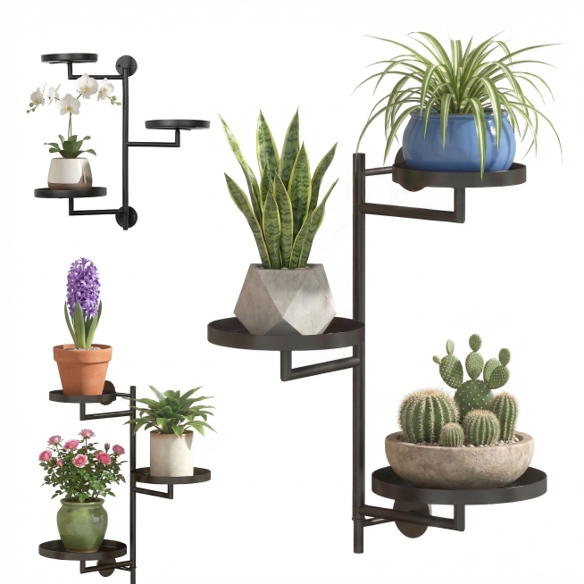 将图片里的所有盆栽和花卉替换成和原来不同的品种，花架保持不变，背景为纯白色预览效果