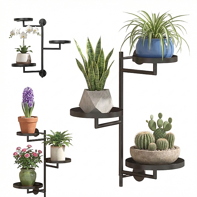 将图片里的所有盆栽和花卉替换成和原来不同的品种，花架保持不变，背景为纯白色