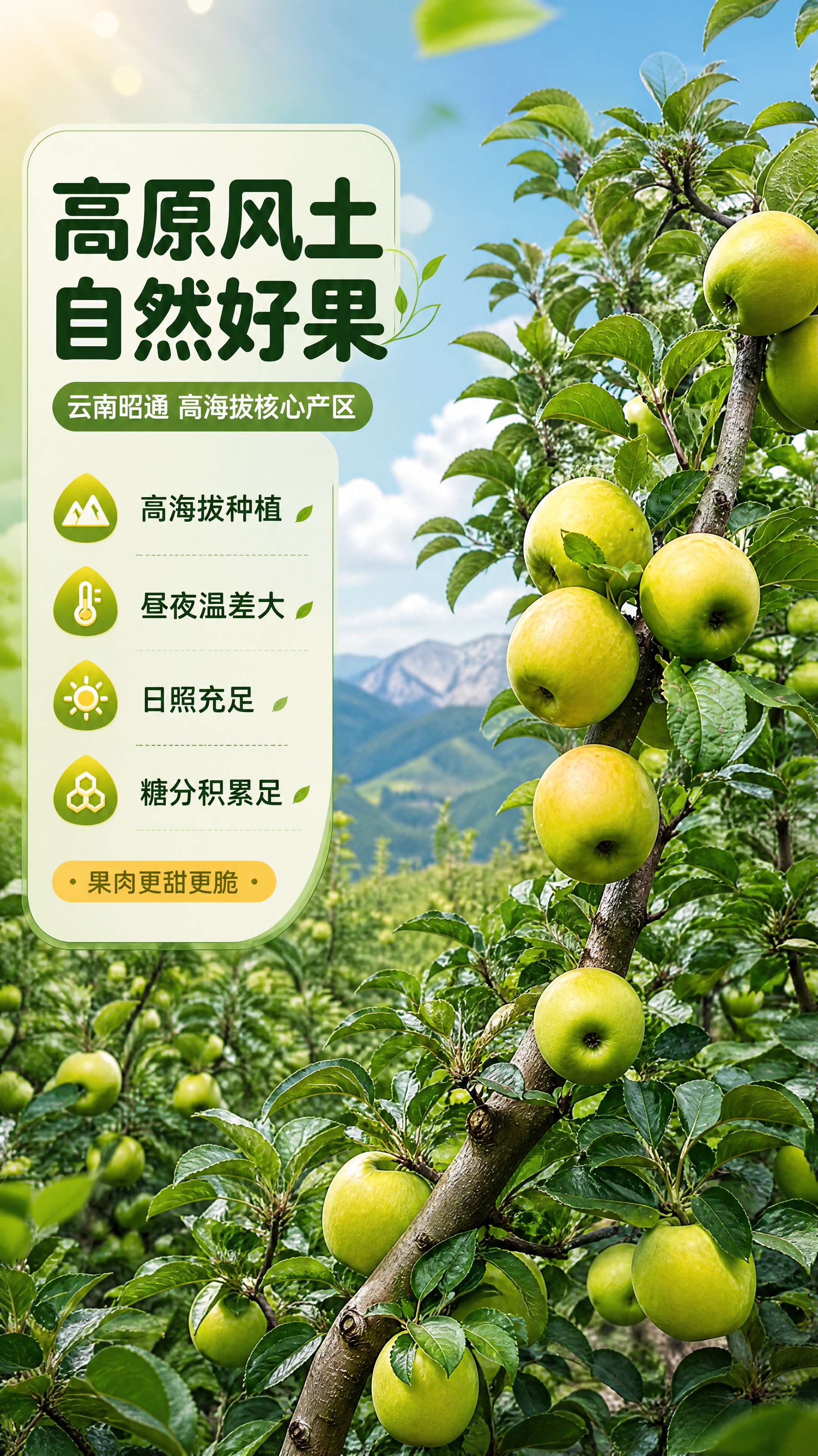 [商品] 使用【图2】挂满青苹果的粗壮果枝；保留苹果青黄绿色果… - 图片创意预览