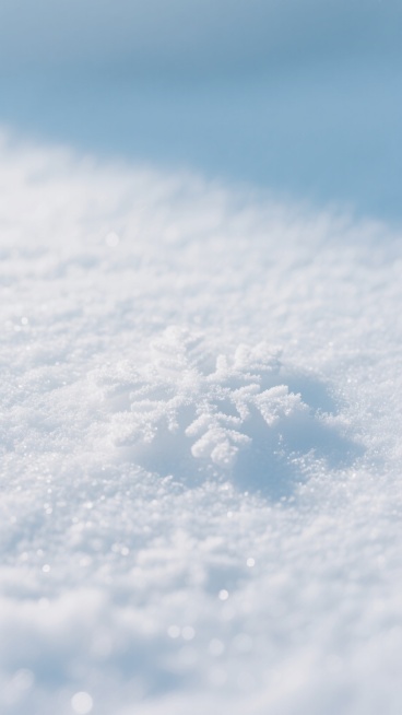 纯净的雪地背景，呈现细腻的白色雪花纹理，整体色调为柔和的淡蓝色与白色渐变，光线均匀柔和，营造出干净、宁静、简洁的氛围，适合作为背景使用，无任何杂物或多余元素干扰。预览效果